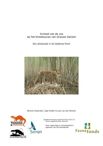 rapport Vos en Gans - De Zoogdiervereniging