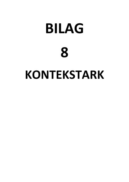 Bilag til udgravningsberetningen Højbro Plads (KBM3934 og 3942)