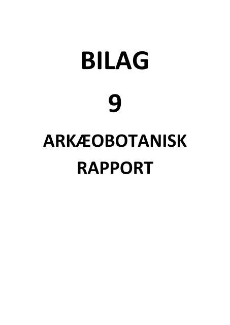 Bilag til udgravningsberetningen Højbro Plads (KBM3934 og 3942)