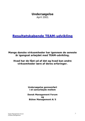 Resultatskabende TEAM-udvikling - Bülow management