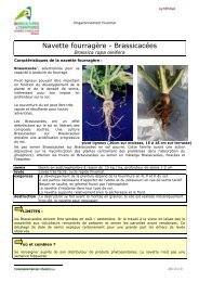 navette synthèse et fiche essais