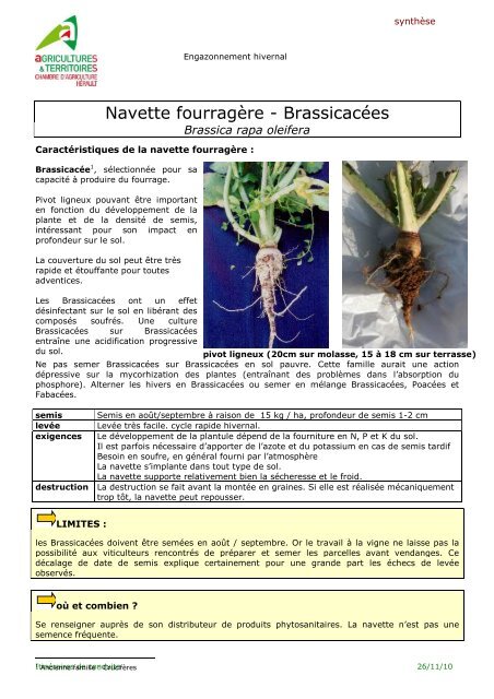 navette synthèse et fiche essais