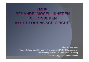 Herman Veerbeek Gz-psycholoog, cognitief ... - Efcap-nl