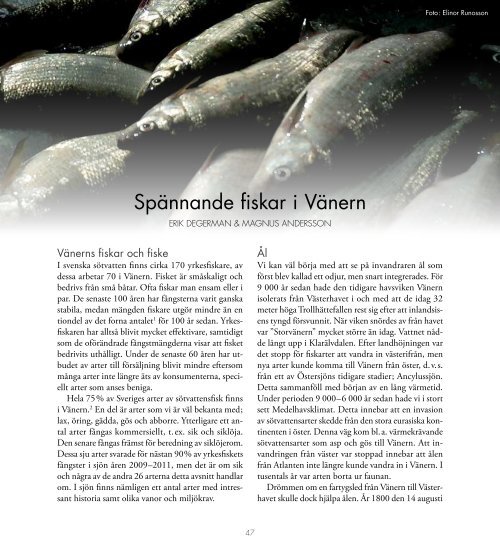 Kap 3 Spännande fiskar i Vänern - Vänermuseet