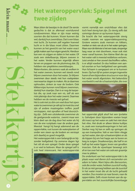 binnenwerk lente 2012.indd - Natuurbeschermingsvereniging De ...