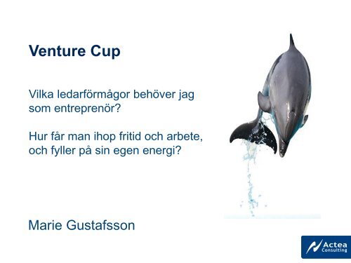 Ledare - Venture Cup