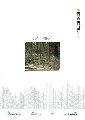 Skogsskötselserien – Gallring - Skogsstyrelsen