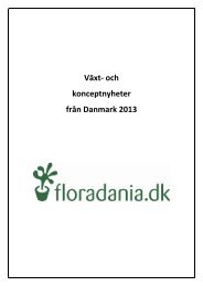 Växt- och konceptnyheter från Danmark 2013 - Floradania