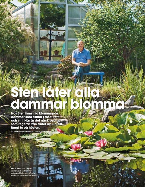 TRÄDGÅRD & BLOMMOR Näckrosor och dammar - Lassas Hagar