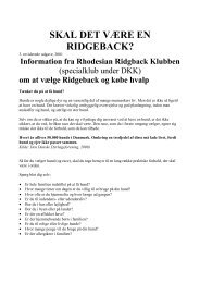 Skal det være en Ridgeback - Rhodesian Ridgeback klubben i ...