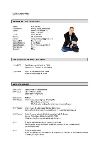 Curriculum Vitae - Remy van Keulen