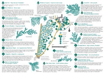 Darley Abbey Park Tree Trail - Derby and South Derbyshire Ramblers