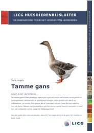 Tamme gans - LICG