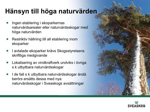 Vattenfall och Sveaskog samarbetar om vindkraft