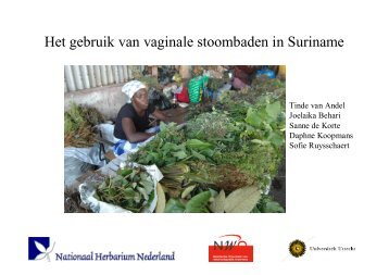 Het gebruik van vaginale stoombaden in Suriname - Soa Aids ...