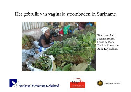 Het gebruik van vaginale stoombaden in Suriname - Soa Aids ...