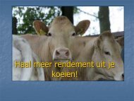 Haal meer rendement uit je dierenarts! - Boerderij