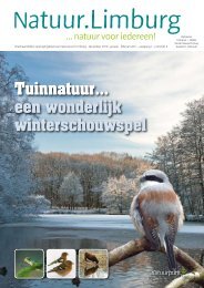 Tuinnatuur… een wonderlijk winterschouwspel - Natuurpunt Limburg