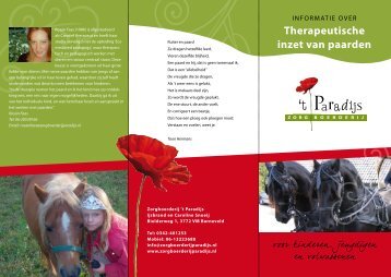 Therapeutische inzet van paarden - t Paradijs