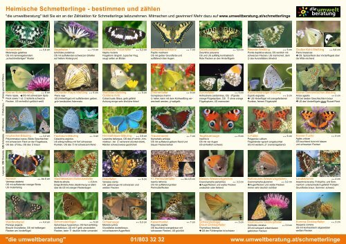 Heimische Schmetterlinge - Umweltberatung