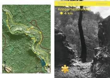 Kopparhattsrundan 4 km - Söderåsens nationalpark