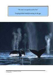 thesis Jos Brinkmann - Erasmus CMDz