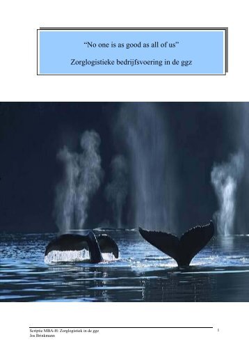 thesis Jos Brinkmann - Erasmus CMDz