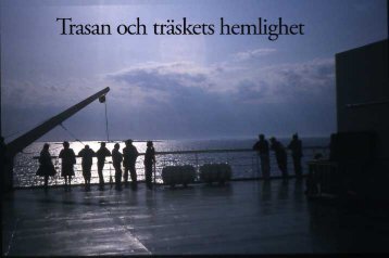 Trasan och träskets hemlighet - fritenkaren.se