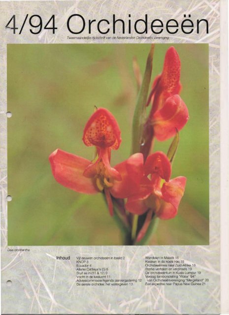 1994 - 4 - Orchideeën Vereniging Vlaanderen