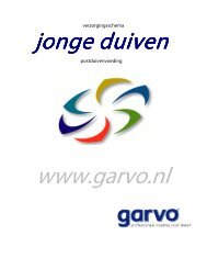 Schema Jonge duiven