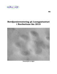 Rovdjursinventering på Luongastunturi i Norrbottens län 2010 - O2