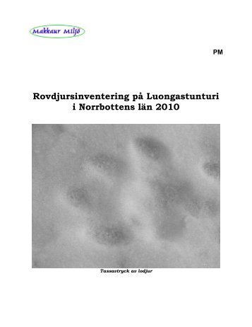 Rovdjursinventering på Luongastunturi i Norrbottens län 2010 - O2