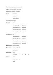 Kwaliteitsadvies Schouder arthroscopie Ligging: lateral decubitus ...