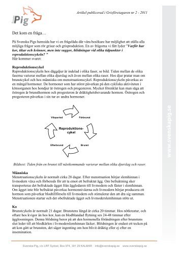 Skillnad i reproduktionscykel mellan olika djurslag.pdf - Svenska Pig