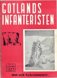 Gotlandsinfanteristen