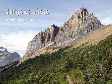 Burgess Shale.pdf - GEA Kring Rijnland