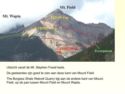 Burgess Shale.pdf - GEA Kring Rijnland