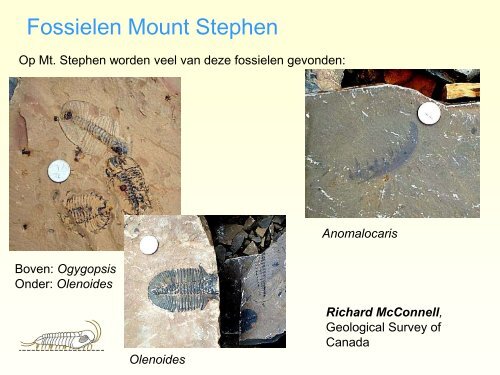 Burgess Shale.pdf - GEA Kring Rijnland