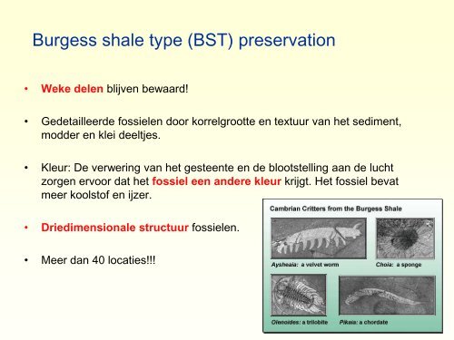 Burgess Shale.pdf - GEA Kring Rijnland