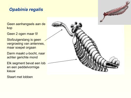 Burgess Shale.pdf - GEA Kring Rijnland