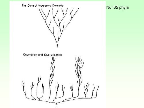 Burgess Shale.pdf - GEA Kring Rijnland