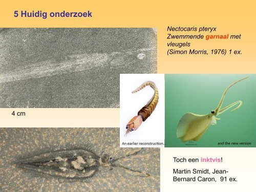 Burgess Shale.pdf - GEA Kring Rijnland