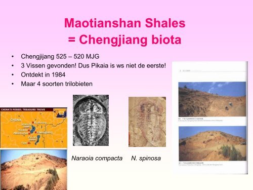 Burgess Shale.pdf - GEA Kring Rijnland