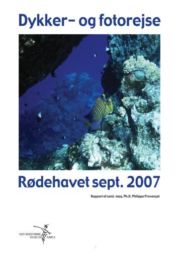 Rapport fra dykker- og fotorejse til Rødehavet i 2007 - Naturhistorisk ...