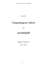 Fangstanlegg for villrein i Jostedalsfjelli - Jostedal historielag