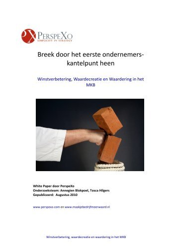 Breek door het eerste ondernemers- kantelpunt heen - PerspeXo