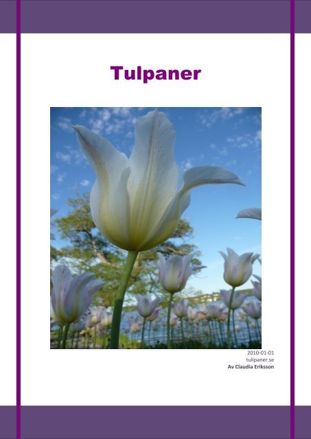 Tulpaner