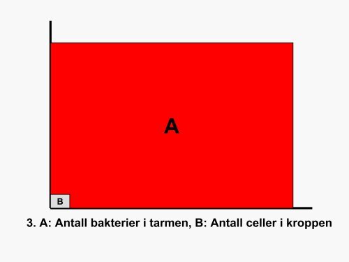 Adferd og tarmflora - Autisme kan behandles