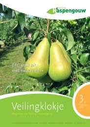 Veilingklokje - Veiling Haspengouw