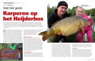 Klik hier - Dreambaits